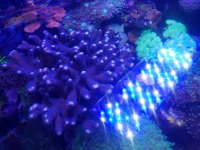 20181110_172533.jpg