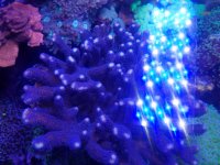 20181110_172529.jpg