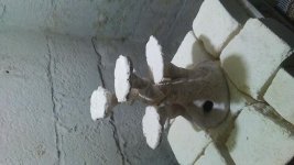 20181110_181913.jpg