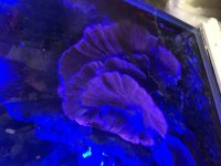 0E8319C5-7C79-4A8B-AA66-A21FF9F0A2FC.jpg
