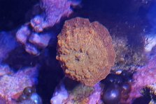 20181111_200926.jpg