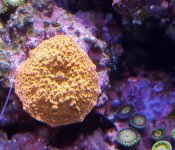 20181111_201042.jpg