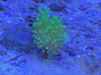 IMG_0943.jpg