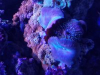 20190202_210642.jpg