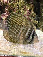 IMG_0676.jpg