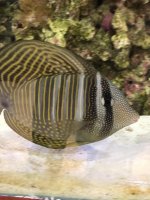 IMG_0677.jpg