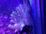 20190202_210655.jpg