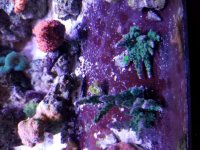 20181112_204324.jpg