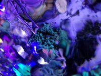 20181112_194918.jpg