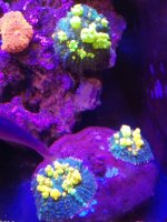 IMG_20190831_192959.jpg