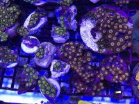 IMG_2756.jpg