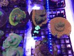 IMG_2770.jpg
