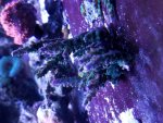 20181112_235604.jpg