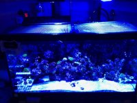 IMG_1605.jpg