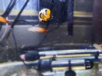 20190406_100349.jpg