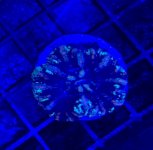 IMG_6282.jpg