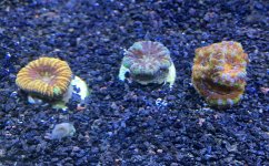 IMG_6324.jpg