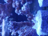 20190628_201019.jpg
