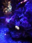 IMG_20190404_214640.jpg