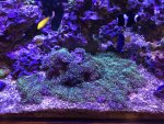 IMG_6222.jpg