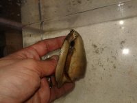 20190407_043836.jpg