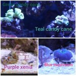 CollageMaker_20190408_160513078.jpg