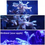 CollageMaker_20190408_160442814.jpg