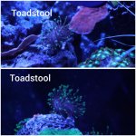 CollageMaker_20190408_160432252.jpg