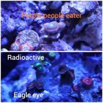CollageMaker_20190408_160347321.jpg