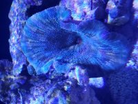 20190915_144821.jpg