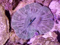 20190915_201057.jpg