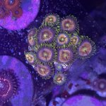 E854CB2D-0429-4C73-84A1-53D28AAFE158.jpg