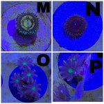 8B78CFF7-8D2C-4BD9-82A0-8A6B36240CE4.jpg