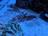 00000PORTRAIT_00000_BURST20180121085950706[2].jpg