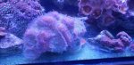 20190701_160629.jpg