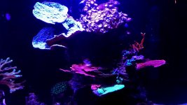 IMG_2225.JPG