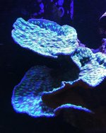 IMG_2214.JPG