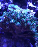 IMG_2207.JPG
