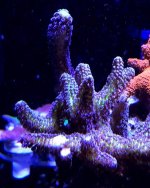IMG_2210.JPG