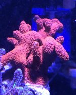 IMG_2211.JPG