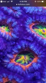 697A216D-0D2E-4E1F-A24D-F648B7FFA875.jpg
