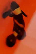 20190412_084047.jpg