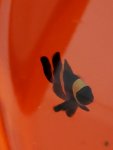 20190412_083927.jpg