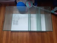 20190704_004047.jpg
