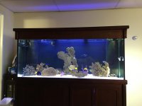 IMG_1266.jpg