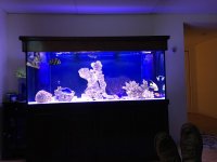 IMG_1319.jpg