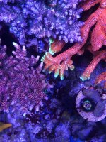 IMG_6672.jpg