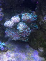 IMG_2553.jpg