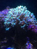 IMG_2556.jpg