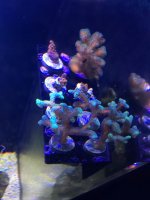 IMG_2560.jpg